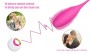 Wireless Remote Vibrating Egg Ben Wa ball Kegel ball Vaginal Exercise USB Rechargeable for female