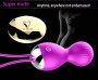 FOX Silicone Kegel Balls Vaginal Tight Exercise Wireless Remote Vibrator for Women