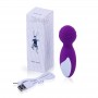 Waterproof Female Multi-Speed Vibrating Electric Massagers