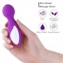 Waterproof Female Multi-Speed Vibrating Electric Massagers