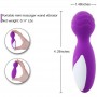 Waterproof Female Multi-Speed Vibrating Electric Massagers