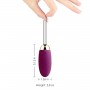 SVAKOM Mini Waterproof Bullet Massager Remote Control Vibrating Egg For women