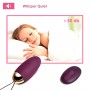 SVAKOM Mini Waterproof Bullet Massager Remote Control Vibrating Egg For women