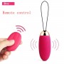 SVAKOM ELVA Waterproof Bullet Wand Massager Remote Control Vibrating Egg For women (Red color)