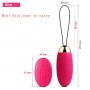 SVAKOM ELVA Waterproof Bullet Wand Massager Remote Control Vibrating Egg For women (Red color)