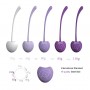 5pcs Kegel Ball Silicone Vagina Tight Exercise Ben Wa Balls For Woman gift box