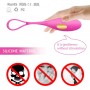 Wireless Remote Vibrating Egg Ben Wa ball Kegel ball Vaginal Exercise USB Rechargeable for female