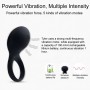 SVAKOM Waterproof USB Rechargeable Vibrating Cock Ring Sex Toys for Couples