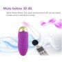 Wireless Remote Control USB Rechargeable Mute Vibrator For Women